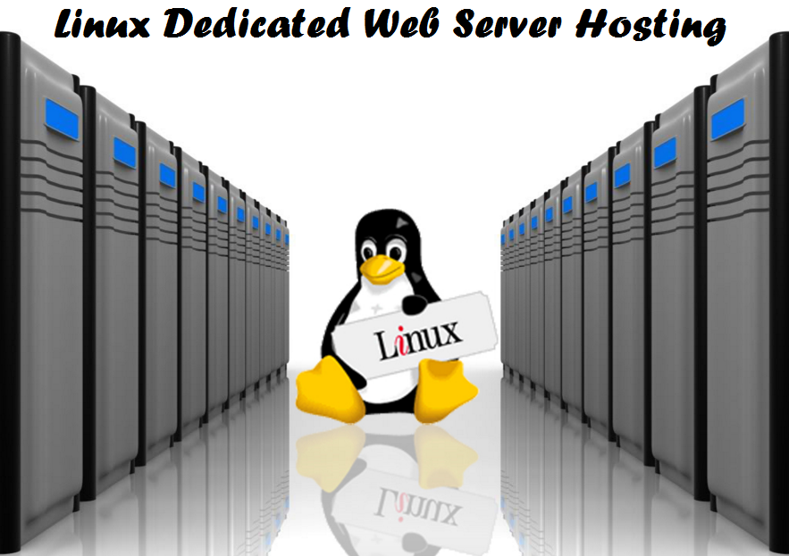 Understanding Linux Dedicated Web Server Hosting!