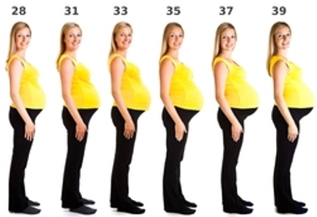 Pregnancy Week By Week