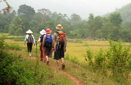 Myanmar Tours