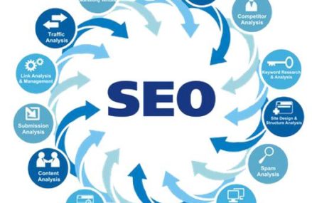 Assessing the right SEO Company