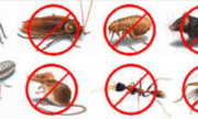 How to open a pest control company