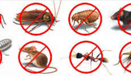 How to open a pest control company