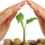 Banner Term Life Insurance